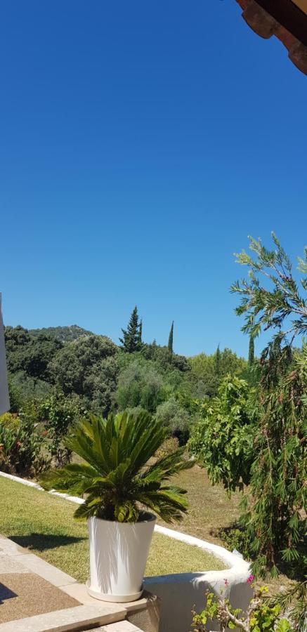 Villa Milagro - 3 Bedroom Finca Style Villa With Pool Near Golf Course/Beaches - Air Cond. Pollensa Exterior foto